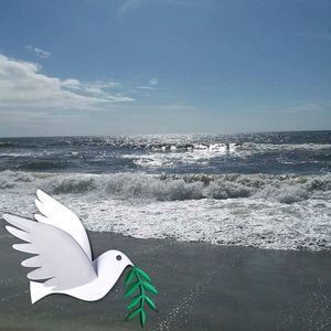 Meet your Posher, Glenda